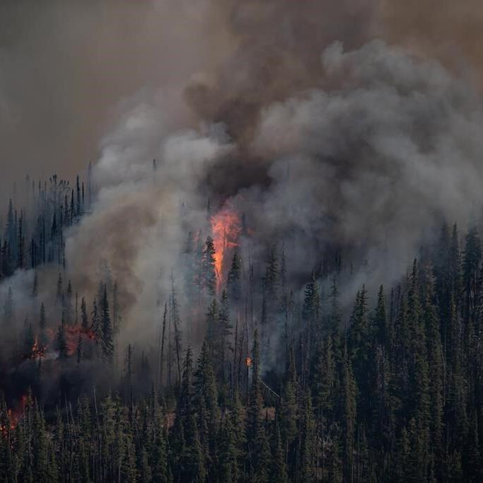 Inaccurate data on forest fuels may stoke B.C. wildfires, study finds